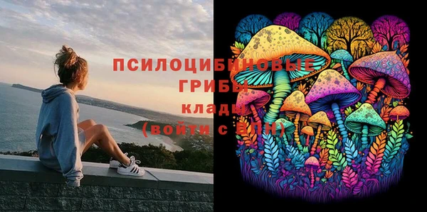 ECSTASY Армянск