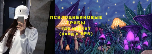 ECSTASY Армянск